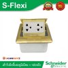 Schneider ชุดเต้ารับฝังพื้นอะลูมิเนียมทองเหลือง พร้อมกล่องฝัง + เต้ารับคู่ 3ขา S-Flexi
