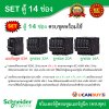 Schneider Electric SET SDEL ตู้คอนซูมเมอร์ยูนิตฝาทึบ สีขาว 14 ช่อง + เมนกันดูด (RCBO) 63A + ลูกย่อย 32A/20A/16A