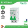 Schneider Electric เมนเซอร์กิตเบรกเกอร์ รุ่น Easy9 Plug-On ขนาด 2P 10kA 40A | EZ9F61640