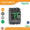 Schneider Electric Circuit breaker ComPact NSX250F 36kA/415VAC 3P TMD trip unit 250A | C25F3TM250