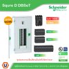 Schneider Electric ชุดตู้โหลดเซ็นเตอร์ Square D DBSeT 42ช่อง+MCCB EZC 3P 100A 30kA พร้อมลูกย่อย24ตัว