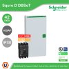 Schneider Electric ตู้โหลดเซ็นเตอร์ รุ่น Square D DBSeT ขนาด 42ช่อง + MCCB รุ่น EZC 3P 100A 30kA