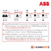 ABB ชุดตู้คอนซูมเมอร์ยูนิต ขนาด 16 ช่อง เมนเบรกเกอร์ 63A+กันดูด RCCB 63A พร้อมลูกย่อย 16A/20A/32A