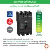 Schneider Electric ตู้โหลดเซ็นเตอร์ 36 ช่อง + เมนเซอร์กิตเบรกเกอร์(MCCB) 100A รหัส QO3-100EZ36G/SN+EZC100H3100