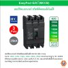 Schneider Electric ชุดตู้โหลดเซ็นเตอร์สแควร์ดีเฟรม 250A ขนาด 48 ช่อง + เมน 100A, 25kA + ลูกย่อย 16A = 4 l ลูกย่อย 63A = 12 ตัว