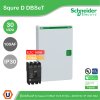 Schneider Electric ตู้โหลดเซ็นเตอร์ รุ่น Square D DBSeT ขนาด 30ช่อง + MCCB รุ่น EZC 3P 100A 30kA