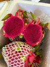 Dragon fruit (red flesh)-Thailand