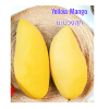 Gold mango sz L = 550-650gr