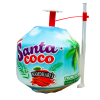 COCCO FRESCO SANTA DA BER E THAILANDIA