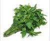 Hairy Basil Leaf 100Gr