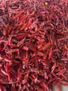 Dry small red chilli no stem 100gr (TON POE BRAND) 	พริกแห้งเม็ดเล็ก เด็ด ก้าน 100 ก ตราต้นโพธ์