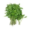 Holy Basil 100Gr