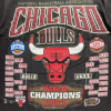 Chicago Bulls Size XXL Vintage 1997