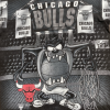 เสื้อยืด Taz Mania Chicago Bulls สไตล์วินเทจ ไซส์ M