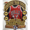 Chicago Bulls Vintage Size L