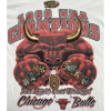 Chicago Bulls Vintage 1998 Size XL