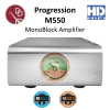 Dan D' Agostino Progression M550 Monoblock Amplifier