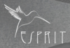 Esprit