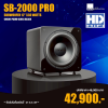 SVS SB2000 PRO Subwoofer