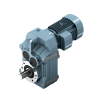 F Series / Paraller Shaft Gear Motor