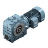 GS Series / Worm Gear Motor