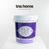 Pammastic Pamlite Plus Primer ปามมาสติก รองพื้นปูนใหม่กันด่าง
