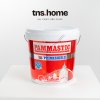 Pammastic Primeshield ปามมาสติก สีภายนอกและภายใน กึ่งเงา