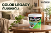 Beger COLOR LEGACY: จัดห้องรับแขกสีดินกับของเดิมให้ดูร่วมสมัย พร้อมภาพผลิตภัณฑ์ สีทาบ้านภายใน Beger Delight Titanium เบเยอร์ ดีไลท์ ไทเทเนียม ชนิดด้าน (เบส A)