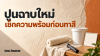 ภาพผิวปูนใหม่ ลูกกลิ้ง ถังสีไม่มีตราและปฏิทินเปล่า พร้อมหัวข้อเช็กความพร้อมก่อนทาสี