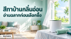 ห้องสีเขียวอ่อนเปิดหน้าต่าง พร้อมถังสีไม่มีตราและลูกกลิ้ง ห้องสีเขียวอ่อนเปิดหน้าต่าง พร้อมถังสีไม่มีตราและลูกกลิ้ง