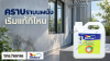พบคราบราบนผนัง จะใช้น้ำยาล้างเมื่อไรและต้องตรวจอะไร พร้อมภาพผลิตภัณฑ์ Dulux Weathershield Mould Wash