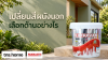 รีโนเวทผนังนอกบ้าน เลือกสีด้านพร้อมระบบเตรียมผิวอย่างไร พร้อมภาพผลิตภัณฑ์ Pammastic Extrapamshield Exterior Matt