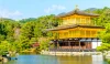 My trip to Japan was a whirlwind of exciting experiences My trip to Japan was a whirlwind of exciting experiences