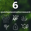 6คุณประโยชน์ของสารสะกัดจากธรรมชาติ 6คุณประโยชน์ของสารสะกัดจากธรรมชาติ