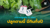 ปลูกผักให้มีกินทั้งปี ปลูกตามนี้..ไม่อดตายแน่นอน ปลูกผักให้มีกินทั้งปี ปลูกตามนี้..ไม่อดตายแน่นอน