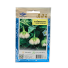 เมล็ดมะเขือจานขาว (Round eggplant) เจียไต๋ ตราเครื่องบิน  ขนาด 1 กรัม บรรจุ 260 เมล็ด