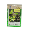 เมล็ดพันธุ์ ผักสลัด มิกซ์ (lettuce Mix)   เจียไต๋ ขนาด 0.5 กรัม บรรจุประมาณ 500 เมล็ด
