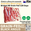 เสือร้องไห้ ออสเตรเลีย ขุน 120 วัน (Mixed brand) (Australia GF YP 120 Days Teys Brisket Navel End)
