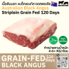 สันนอก ออสเตรเลีย ขุน 120 วัน (Kilcoy) (Australia GF 120 Days Striploin)