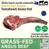 โทมาฮอว์ก ออสเตรเลีย กลาสเฟด (GST) (Australia YP Great Southern Tomahawk)