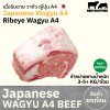 เนื้อสันแหลม ริบอาย A4 (Japanese A4 Wagyu Ribeye) リブロース (Ribu Rosu)