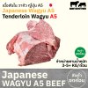 เนื้อสันใน A5 (Japanese A5 Wagyu Tenderloin) ヒレ / フィレ (Hire / Fire)