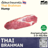 เนื้อทีโบน ไทย บราห์มัน (Thai Brahman T-Bone)