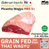 เนื้อพิคานย่า ไทยวากิว MBS 4/5 (Thai Wagyu Picanha MBS 4/5)