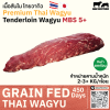 เนื้อสันใน ไทยวากิว MBS 4/5 (Thai Wagyu Tenderloin MBS 4/5)
