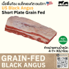 เนื้อพื้นท้อง US Creek Stone (US Creekstone Short Plate) ともばら (Tomo Bara)