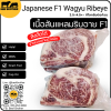 เนื้อสันแหลมริบอาย F1 (Japanese F1 Wagyu Ribeye) リブロース (Ribu Rosu)