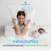 แฟนนอนกรน แฟนนอนกรน