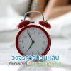 วงจรการนอนหลับ คืออะไร เข้าใจการนอนหลับเพื่อให้ตื่นมาสดชื่น