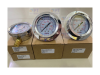 WEGA Pressure Gauge